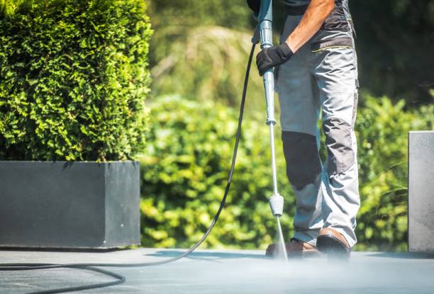 Best House Exterior Washing  in Cortland West, NY