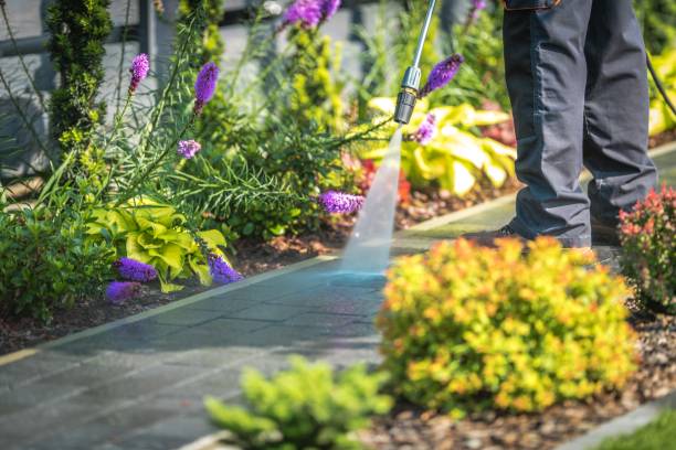 Best Gas Station Cleaning  in Cortland West, NY