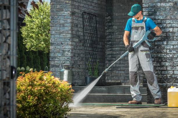 Best Gutter Cleaning  in Cortland West, NY