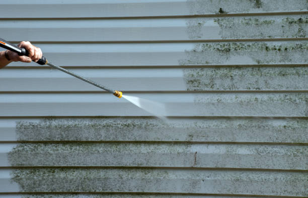Best Patio and Deck Pressure Washing  in Cortland West, NY