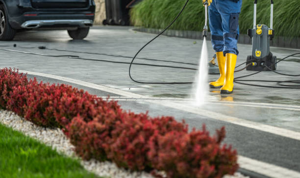 Best Dumpster Area Cleaning  in Cortland West, NY